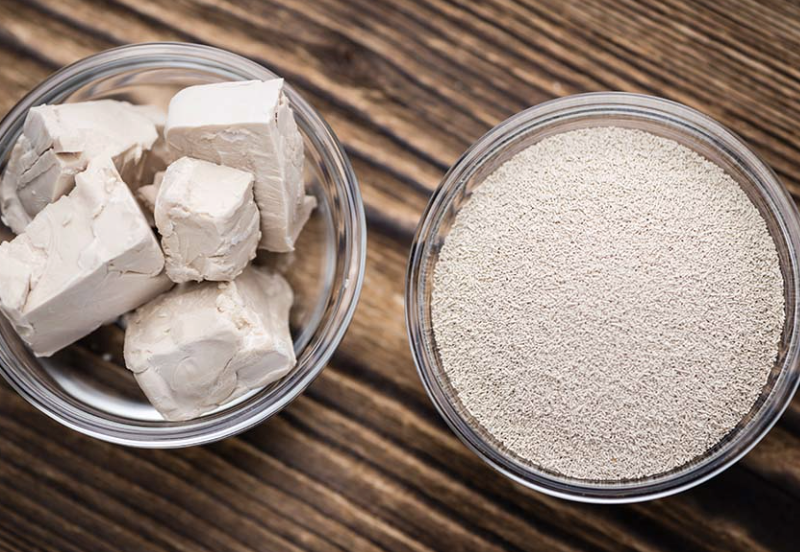 2 types of yeast in dishes side by side